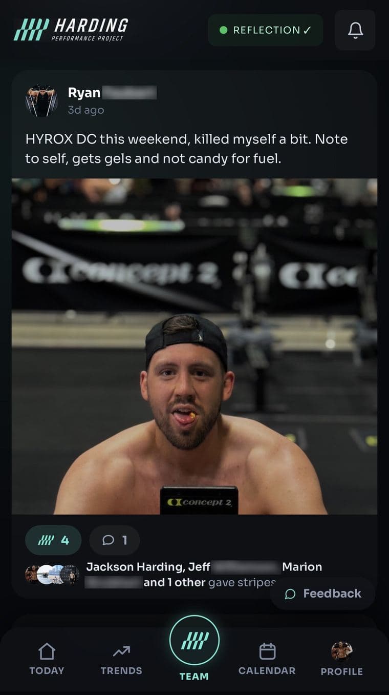 The feed